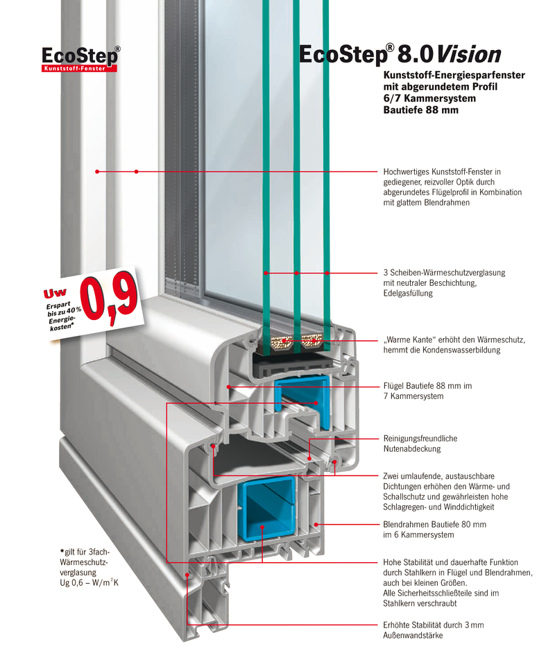 EcoStep 8.0 Vision